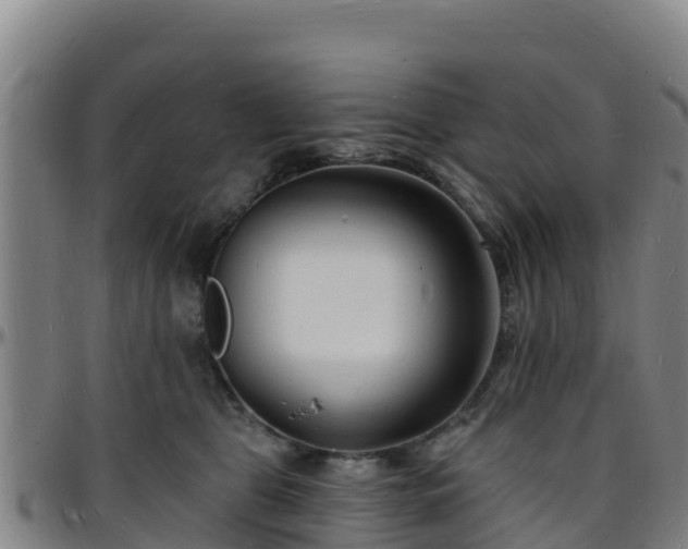 X0000096390469200801311325