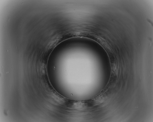 X0000096390470200801311325