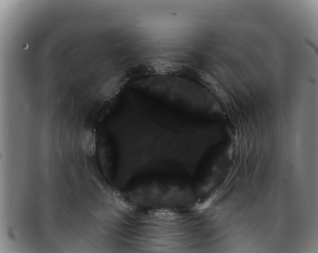 X0000096390471200801311325