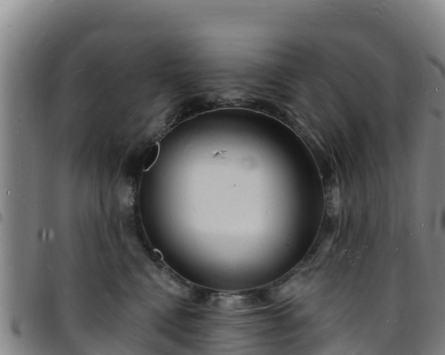 X0000096390472200801311325