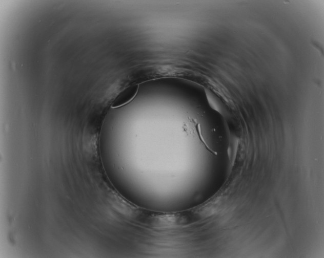 X0000096390473200801311325