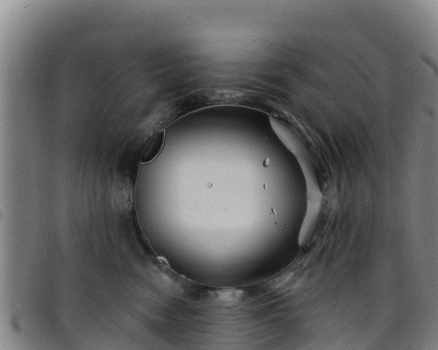 X0000096390474200801311325