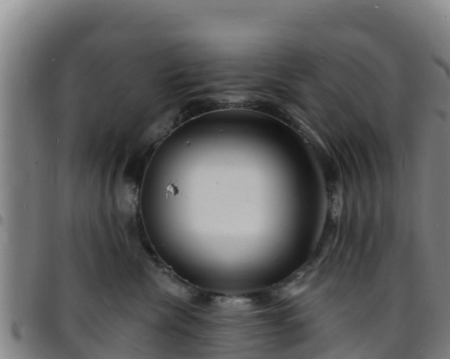 X0000096390476200801311325