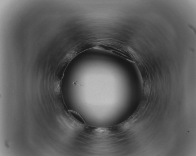 X0000096390477200801311325