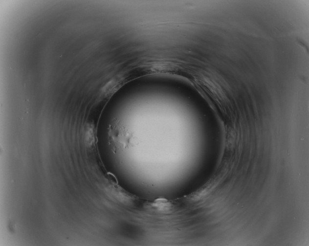X0000096390478200801311325