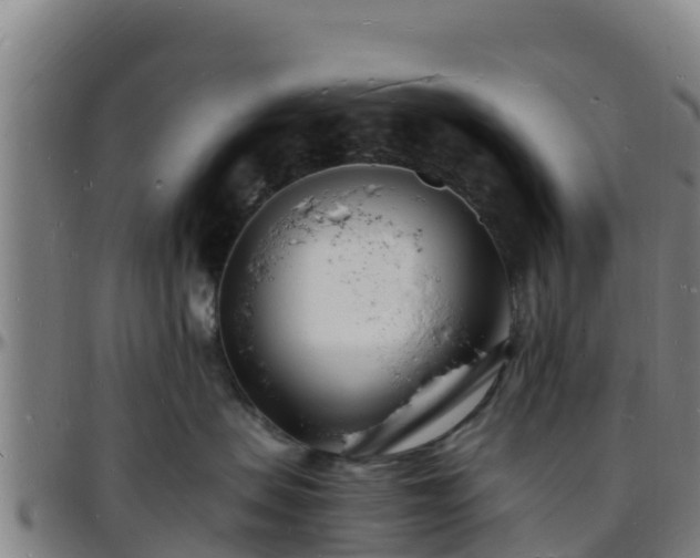 X0000096390479200801311325
