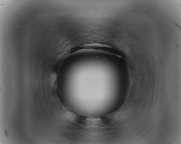 X0000096390480200801311325