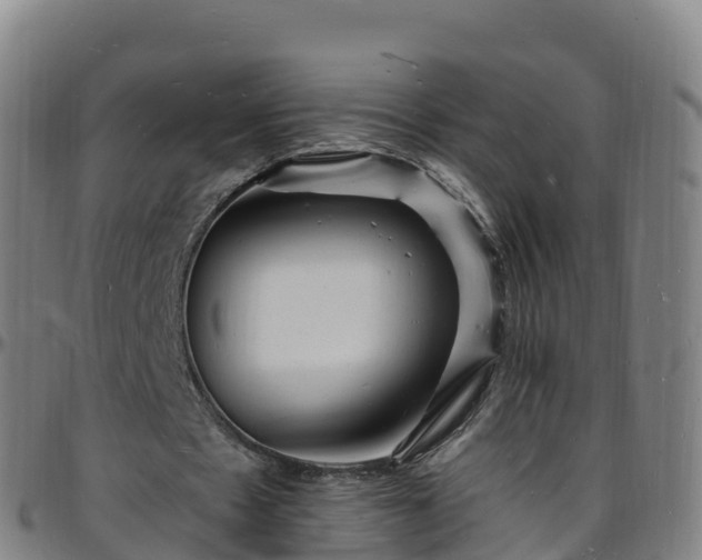 X0000096390481200801311324