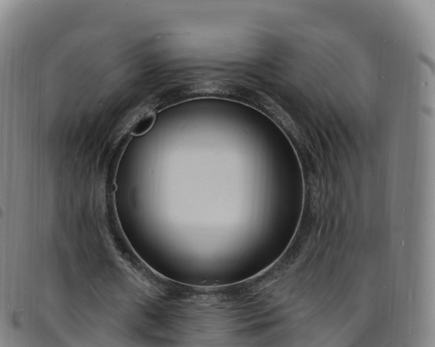 X0000096390482200801311324