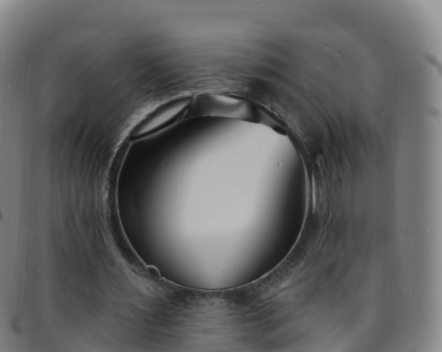 X0000096390483200801311324