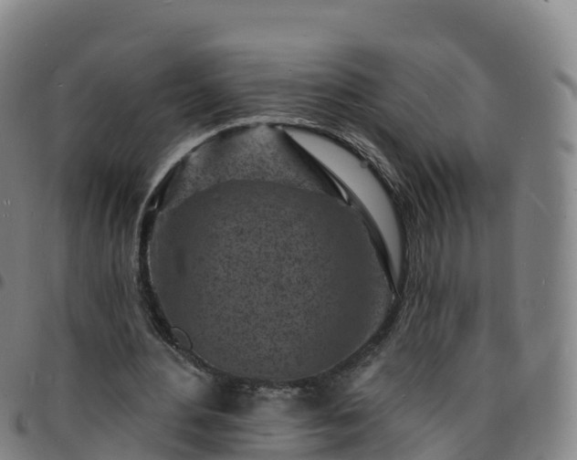 X0000096390484200801311324