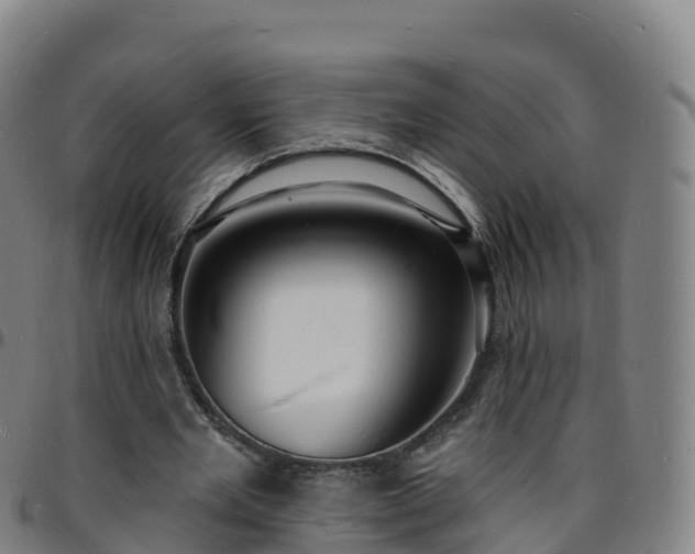 X0000096390485200801311324