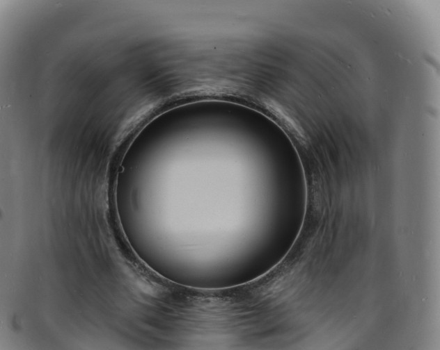 X0000096390486200801311324