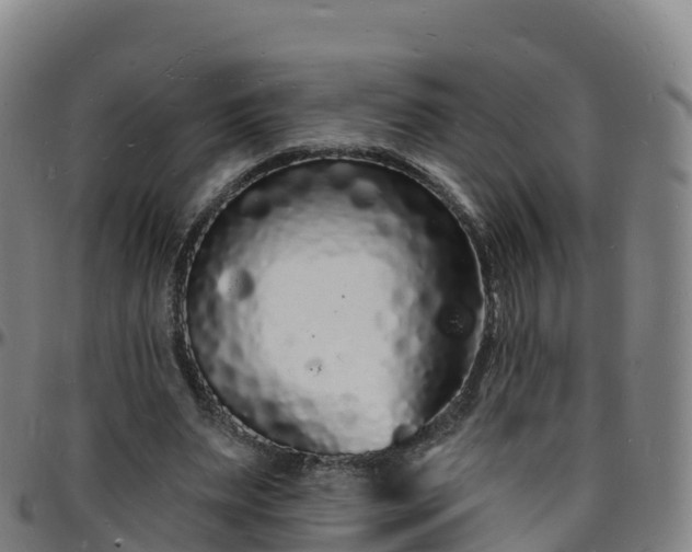 X0000096390487200801311324
