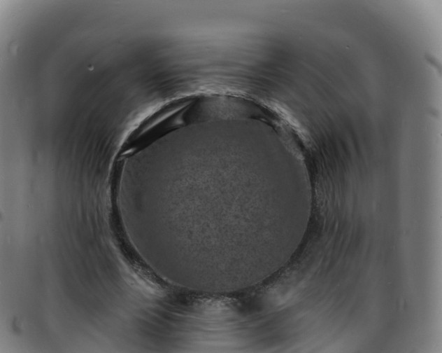 X0000096390488200801311324