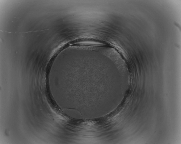 X0000096390492200801311324