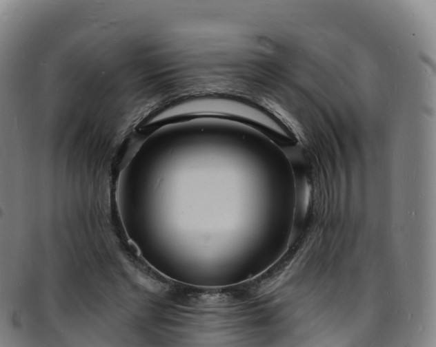 X0000096390493200801311324