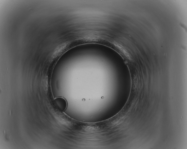 X0000096390494200801311324