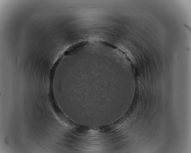 X0000096390496200801311324