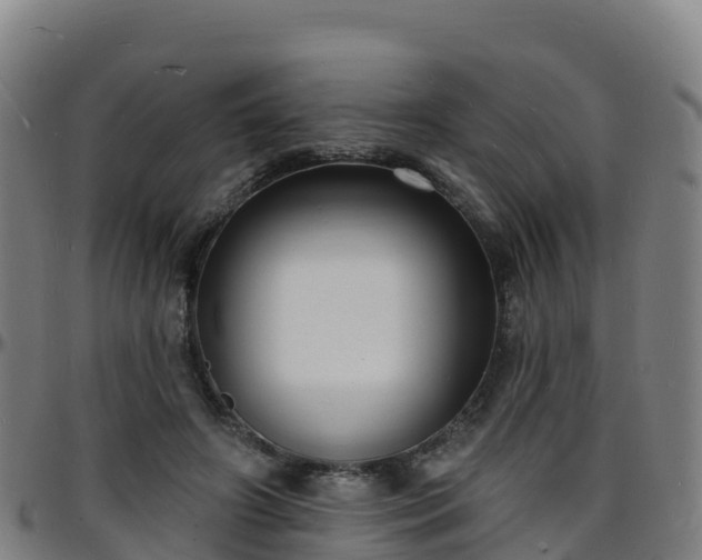 X0000096390498200801311324