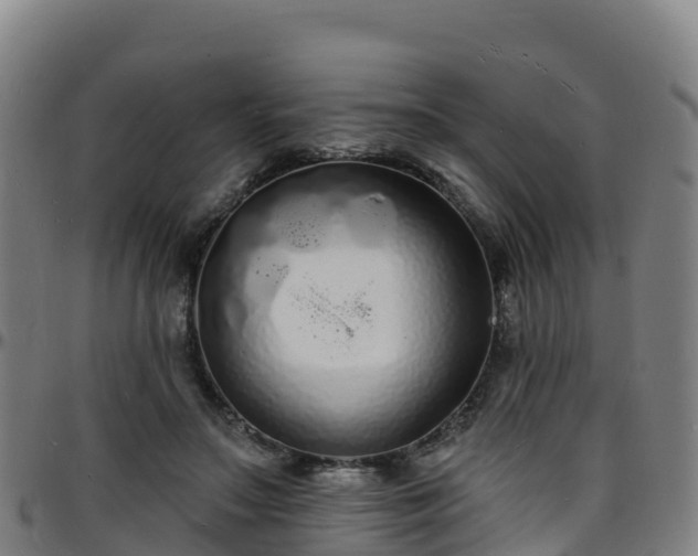 X0000096390499200801311324