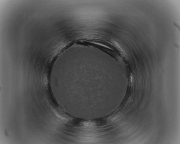 X0000096390500200801311324