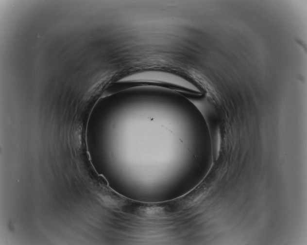 X0000096390501200801311324