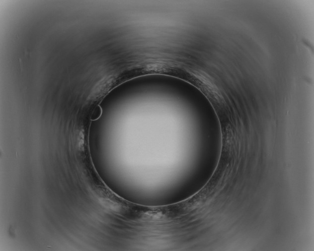 X0000096390502200801311324