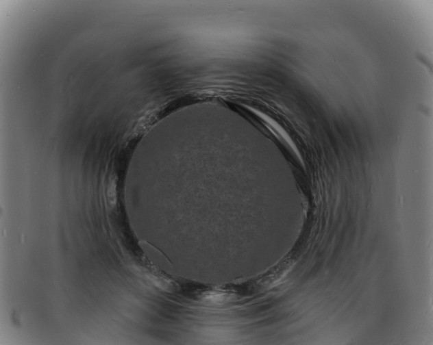 X0000096390504200801311324