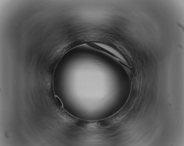 X0000096390505200801311324