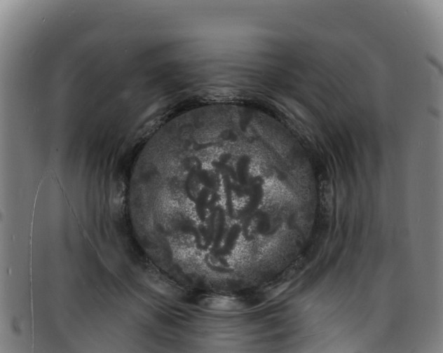 X0000096390507200801311324