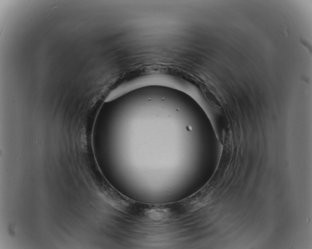 X0000096390508200801311324