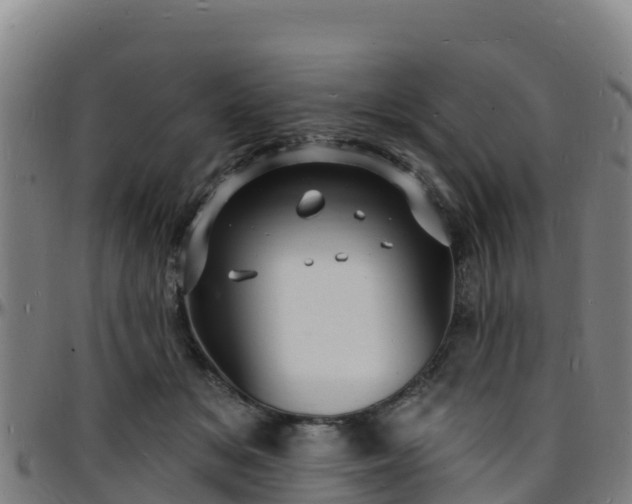 X0000096390509200801311324