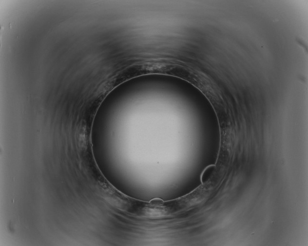 X0000096390510200801311324