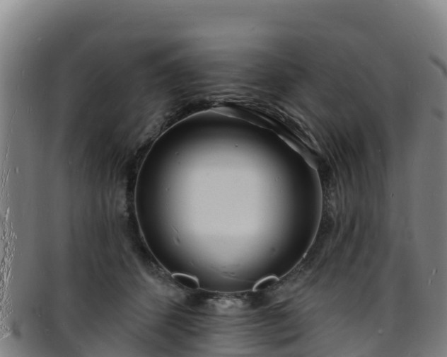 X0000096390512200801311324