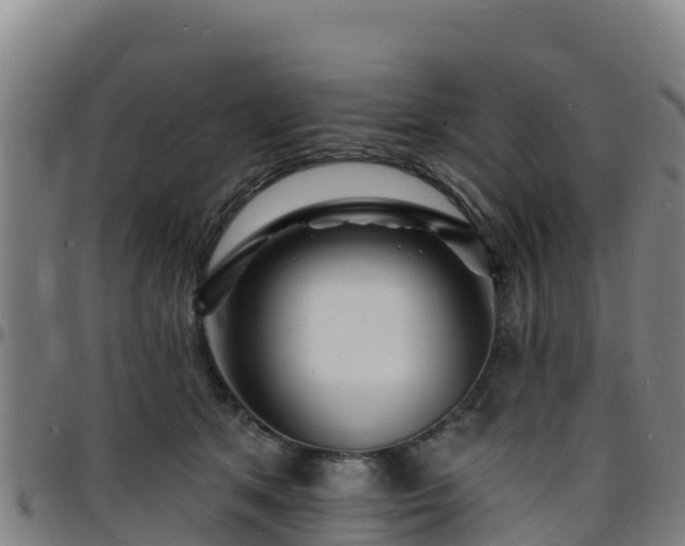X0000096390513200801311324