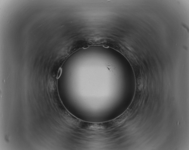 X0000096390515200801311324
