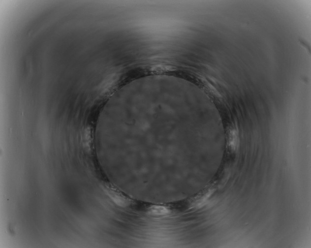 X0000096390519200801311324