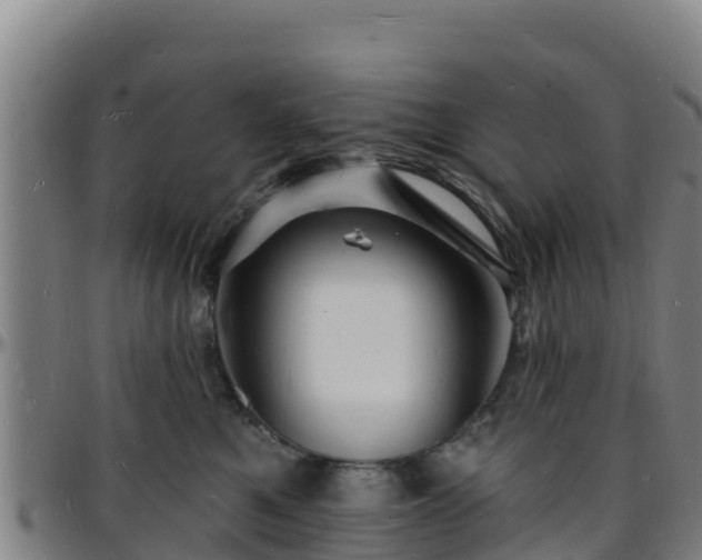 X0000096390521200801311324