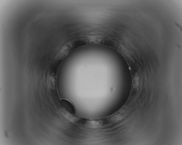 X0000096390522200801311324
