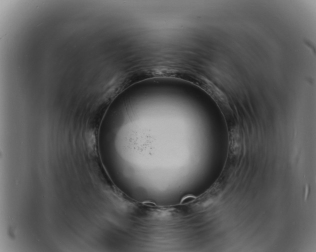 X0000096390523200801311324