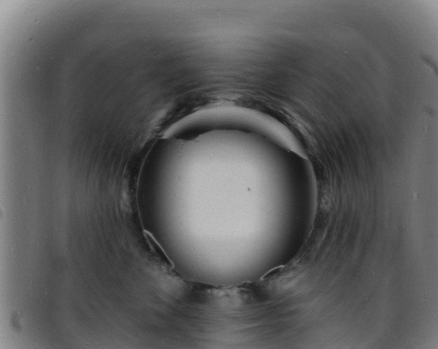 X0000096390524200801311324