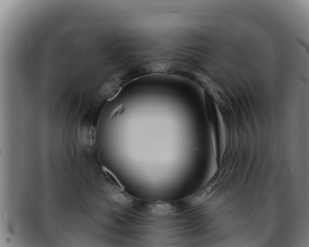 X0000096390525200801311324