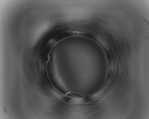 X0000096390526200801311324