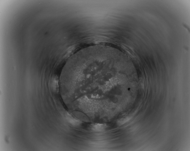 X0000096390527200801311324