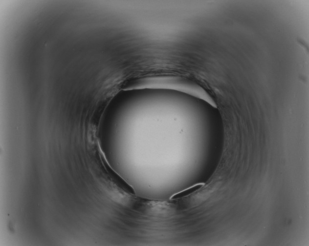 X0000096390528200801311324