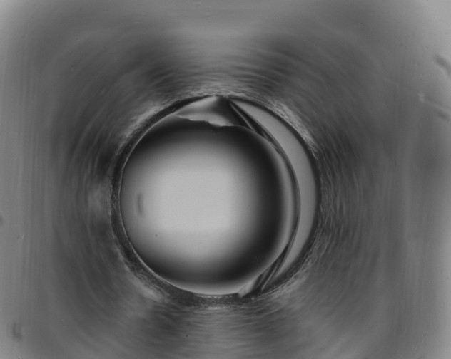 X0000096390530200801311323