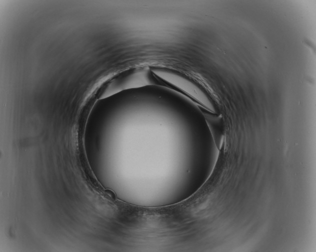 X0000096390531200801311323