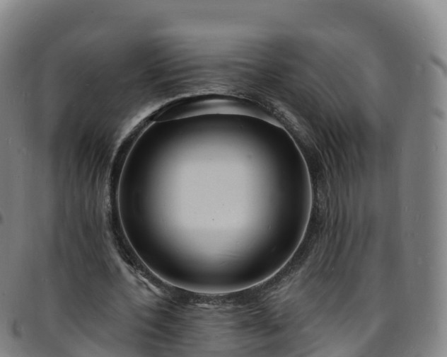 X0000096390532200801311323