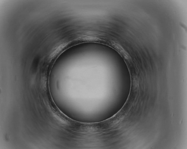 X0000096390533200801311323
